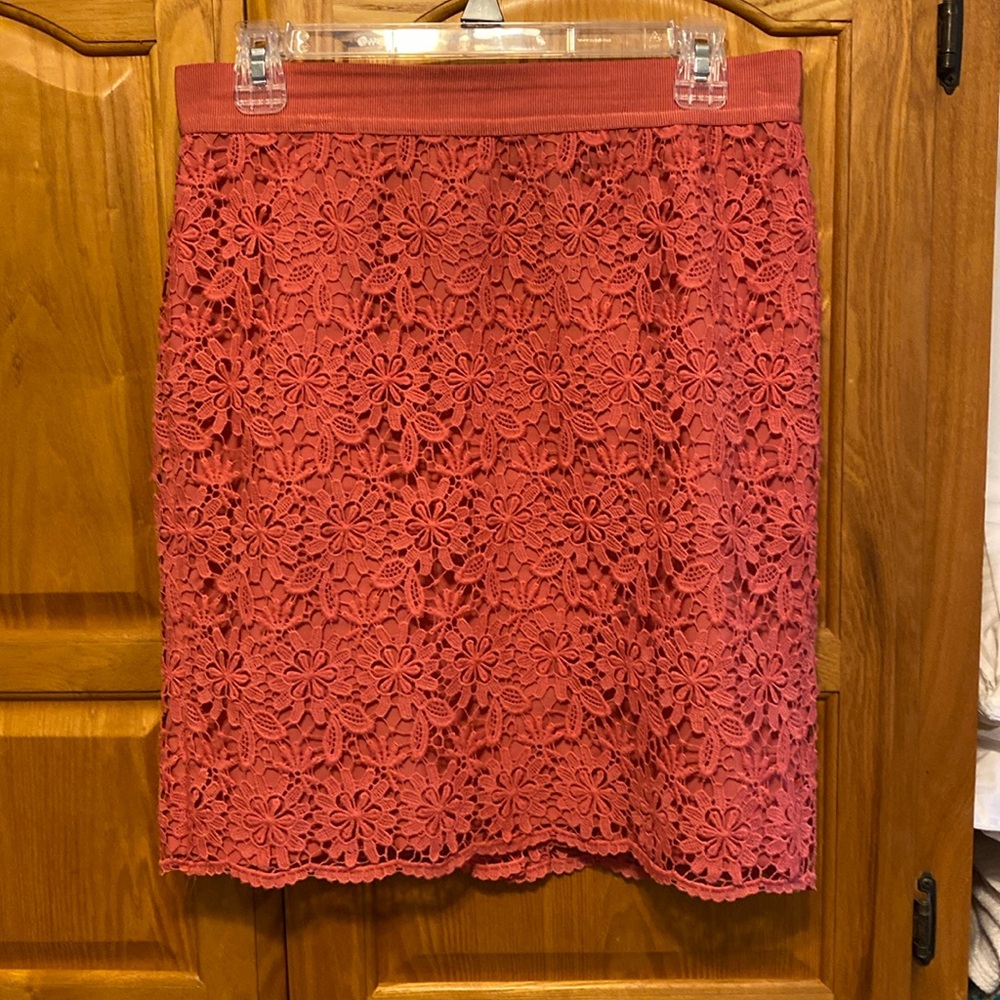 20” length.  Vintage Ann T lace skirt.  Fully lined